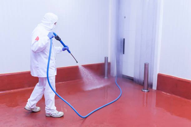 Best Driveway Pressure Washing  in Orange Cove, CA
